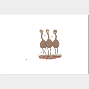 Funny Australian emu trio cartoon illustration Posters and Art